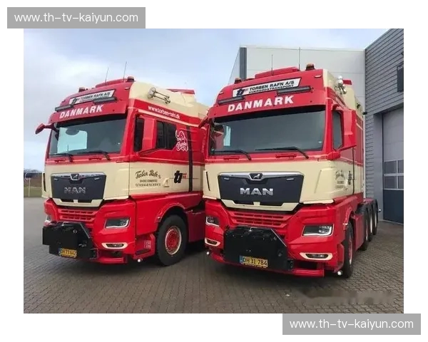 德国vs丹麦：足球的战术博弈与激情碰撞，谁能笑傲绿茵场？