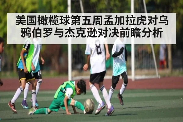 美国橄榄球第五周孟加拉虎对乌鸦伯罗与杰克逊对决前瞻分析