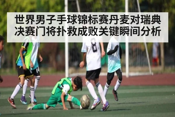 世界男子手球锦标赛丹麦对瑞典决赛门将扑救成败关键瞬间分析